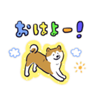 Every Day Dog しば犬 2020（個別スタンプ：35）