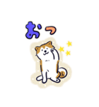 Every Day Dog しば犬 2020（個別スタンプ：39）