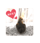 ベンガル レオンkun♪♪（個別スタンプ：1）