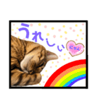 ベンガル レオンkun♪♪（個別スタンプ：10）