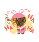 ベンガル レオンkun♪♪（個別スタンプ：22）