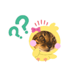 ベンガル レオンkun♪♪（個別スタンプ：24）