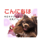 チロルつたんぷ！（個別スタンプ：1）