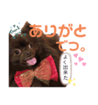 チロルつたんぷ！（個別スタンプ：4）