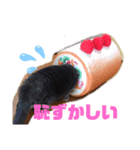 華*華スタンプ日常（個別スタンプ：2）