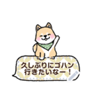 柴犬×和柄 吹き出しメッセージ（個別スタンプ：1）