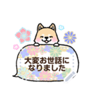 柴犬×和柄 吹き出しメッセージ（個別スタンプ：11）