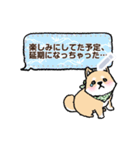 柴犬×和柄 吹き出しメッセージ（個別スタンプ：14）