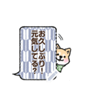 柴犬×和柄 吹き出しメッセージ（個別スタンプ：19）