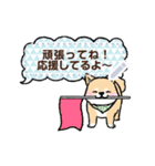 柴犬×和柄 吹き出しメッセージ（個別スタンプ：22）