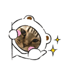 大好きなにゃんこ達♡（個別スタンプ：2）