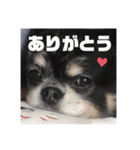 せなくん。（個別スタンプ：8）