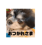 せなくん。（個別スタンプ：19）