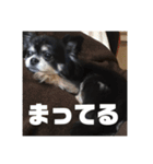 せなくん。（個別スタンプ：21）