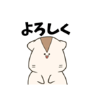 ゆるハムくーちゃん2（個別スタンプ：1）