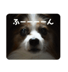 ルークちゃんそのいち（個別スタンプ：7）