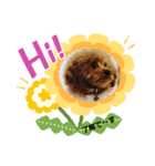 わんこ 6（個別スタンプ：4）