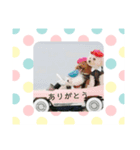 わんこ 6（個別スタンプ：5）