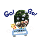 わんこ 6（個別スタンプ：7）