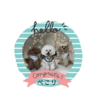 わんこ 6（個別スタンプ：8）