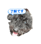 ラスパール_1（個別スタンプ：2）