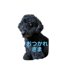 ラスパール_1（個別スタンプ：3）