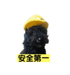 ラスパール_1（個別スタンプ：4）