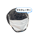 ラスパール_1（個別スタンプ：5）