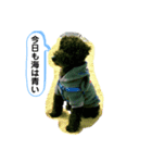 ラスパール_1（個別スタンプ：6）
