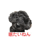 ラスパール_1（個別スタンプ：7）