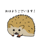 ハリネズミの使えるスタンプ（個別スタンプ：1）