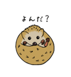 ハリネズミの使えるスタンプ（個別スタンプ：2）