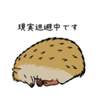 ハリネズミの使えるスタンプ（個別スタンプ：3）