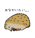 ハリネズミの使えるスタンプ（個別スタンプ：11）