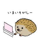 ハリネズミの使えるスタンプ（個別スタンプ：12）