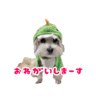 マルプーちゃんの日常スタンプ（個別スタンプ：32）