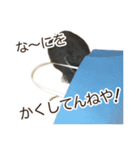 うさぎのはばタンの気まぐれスタンプ（個別スタンプ：5）