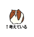 動物園の主張（個別スタンプ：16）