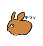 動物園の主張（個別スタンプ：19）
