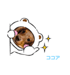 ココ坊❓マリンちゃん❓ロビたん❓笑笑（個別スタンプ：4）