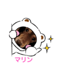 ココ坊❓マリンちゃん❓ロビたん❓笑笑（個別スタンプ：5）