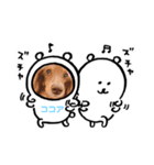ココ坊❓マリンちゃん❓ロビたん❓笑笑（個別スタンプ：7）