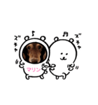 ココ坊❓マリンちゃん❓ロビたん❓笑笑（個別スタンプ：8）