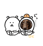 ココ坊❓マリンちゃん❓ロビたん❓笑笑（個別スタンプ：15）