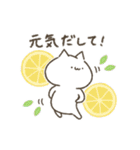 もちゃぬこ（夏）（個別スタンプ：10）