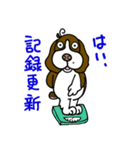 ゆる犬ダイエット（個別スタンプ：6）