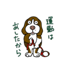ゆる犬ダイエット（個別スタンプ：8）