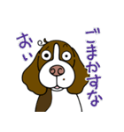 ゆる犬ダイエット（個別スタンプ：13）