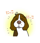 ゆる犬ダイエット（個別スタンプ：16）