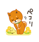 柴犬「ムサシ」25 花（個別スタンプ：38）